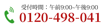 0120-498-041